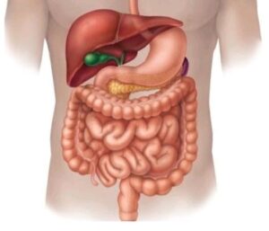 Free Mega Ayurvedic Medical Camp for Stomach Patients on 15th June in Vadodara hummernews.in