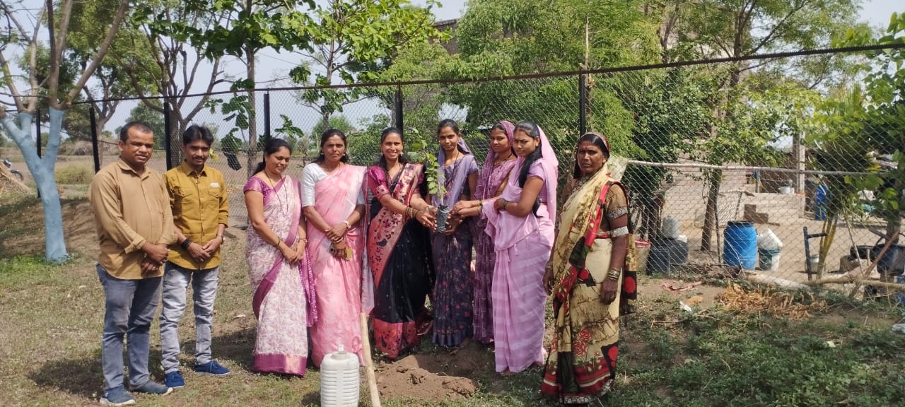 Global Banjara Astitva Foundation organizes tree plantation program on Vat Purnima Global Banjara Astitva Foundation organizes tree plantation program on Vat Purnima hummernews.in