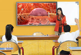 Ebix Smartclass Unveils Ambitious Plan to Equip 10 million Students with Future-Ready Coding Skills hummernews.in