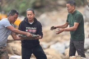 What does the root of a growing tree look like? https://hummernews.in/