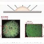 Indian Researchers Show How Graphene Oxide Droplets Create Spider-Web and Mosaic Patternshttps://hummernews.in/