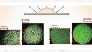 Indian Researchers Show How Graphene Oxide Droplets Create Spider-Web and Mosaic Patternshttps://hummernews.in/